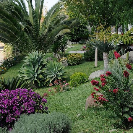 Casa Ischitana Appartement Forio di Ischia Buitenkant foto