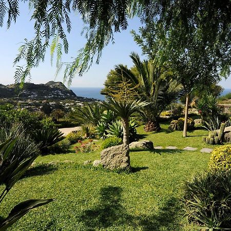 Casa Ischitana Appartement Forio di Ischia Buitenkant foto
