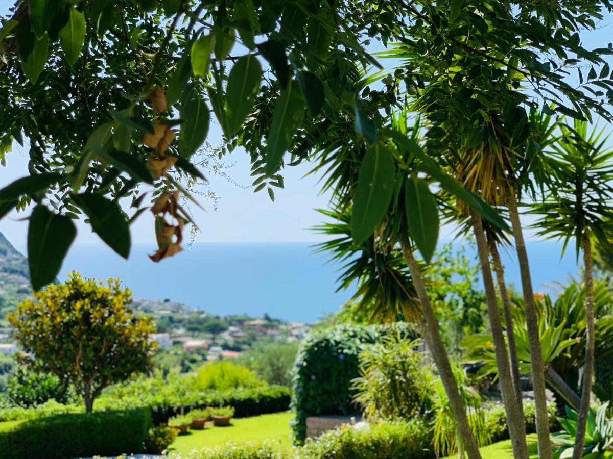 Casa Ischitana Appartement Forio di Ischia Buitenkant foto