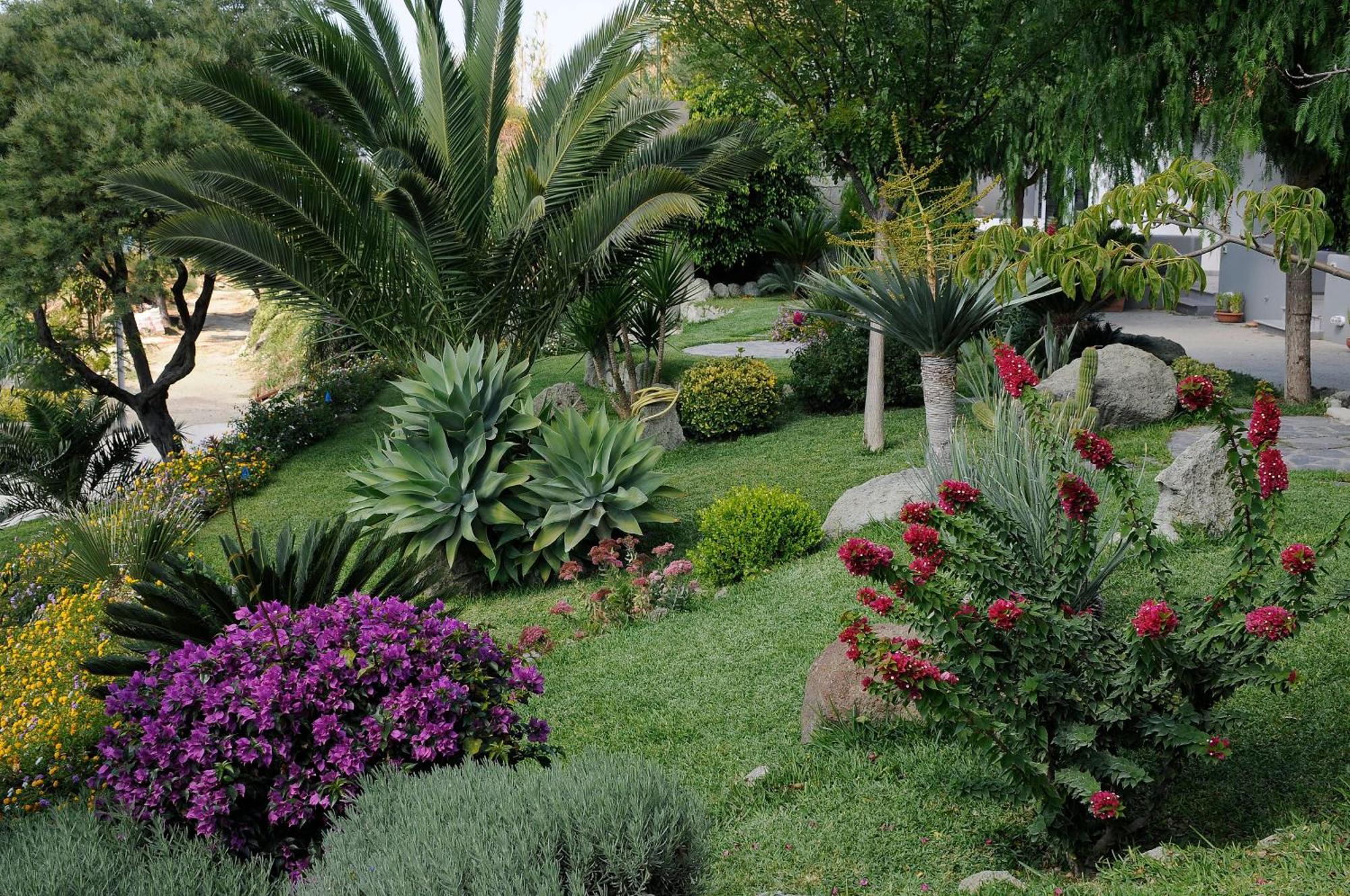 Casa Ischitana Appartement Forio di Ischia Buitenkant foto