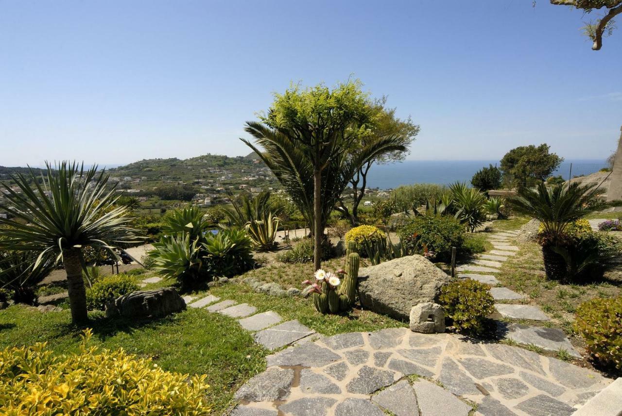 Casa Ischitana Appartement Forio di Ischia Buitenkant foto