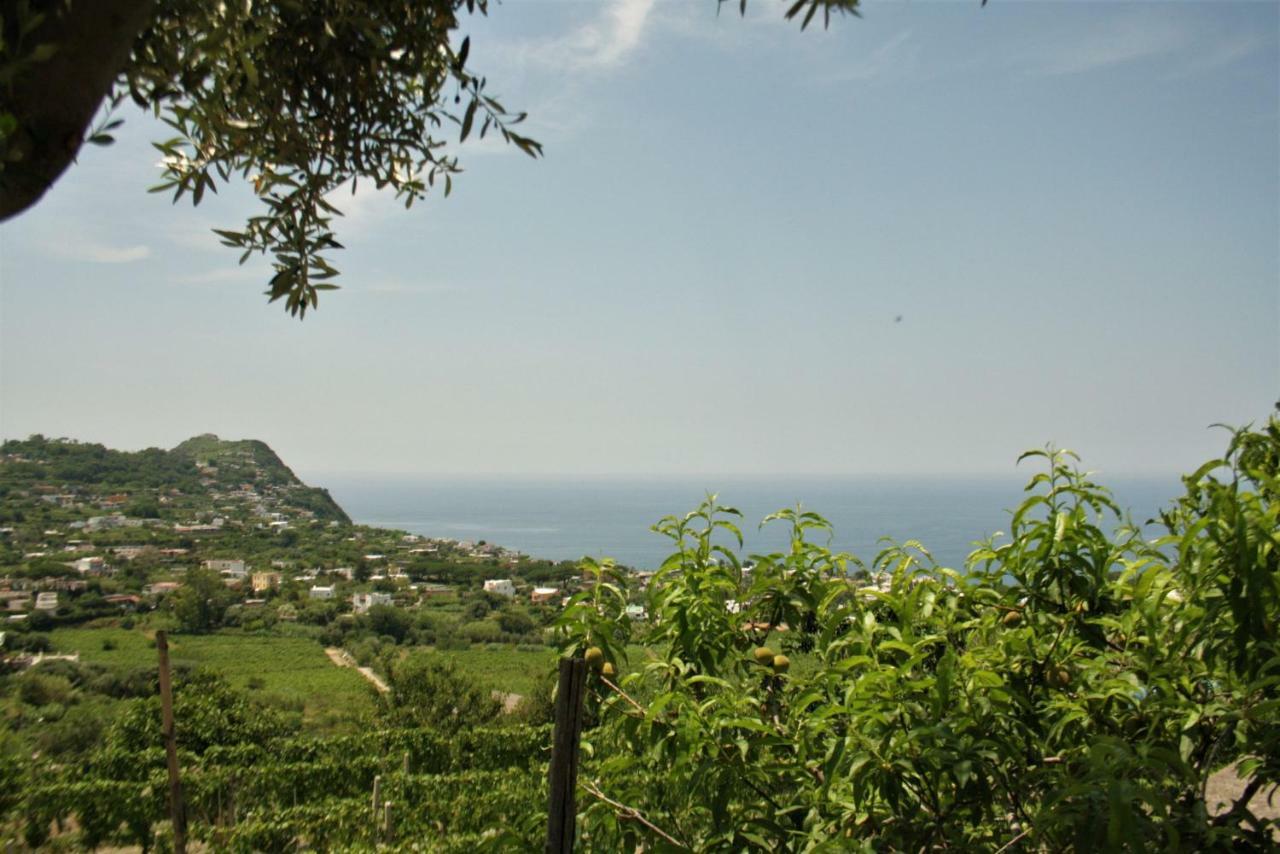 Casa Ischitana Appartement Forio di Ischia Buitenkant foto