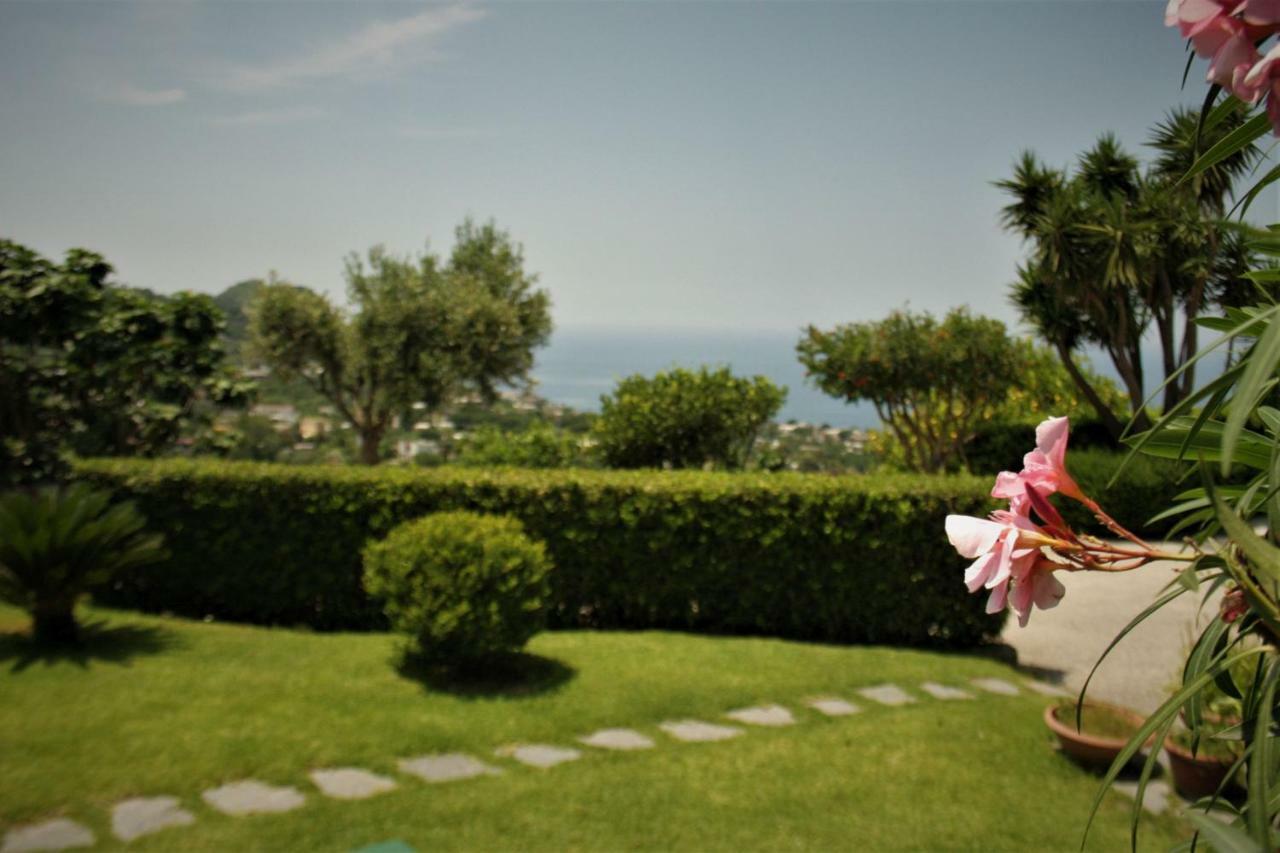 Casa Ischitana Appartement Forio di Ischia Buitenkant foto