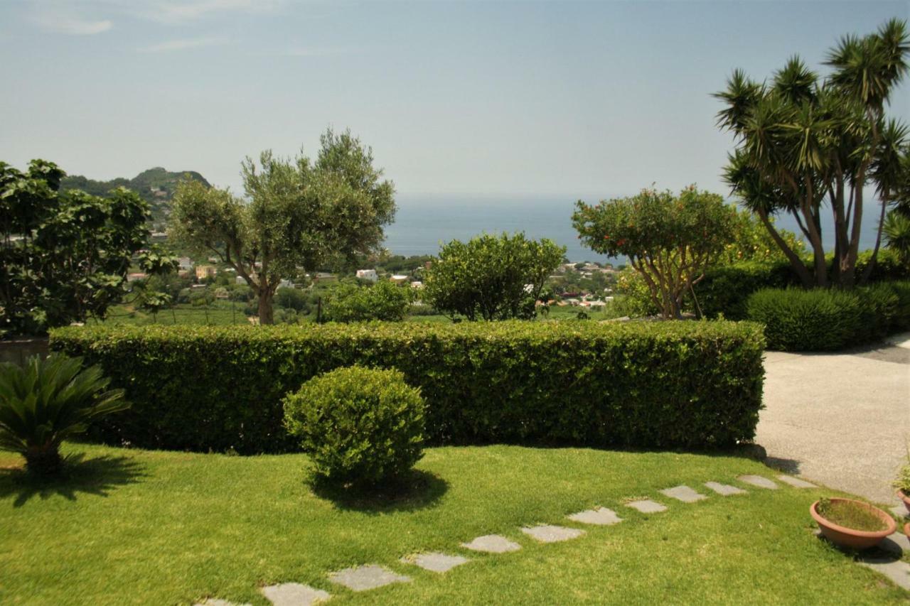 Casa Ischitana Appartement Forio di Ischia Buitenkant foto
